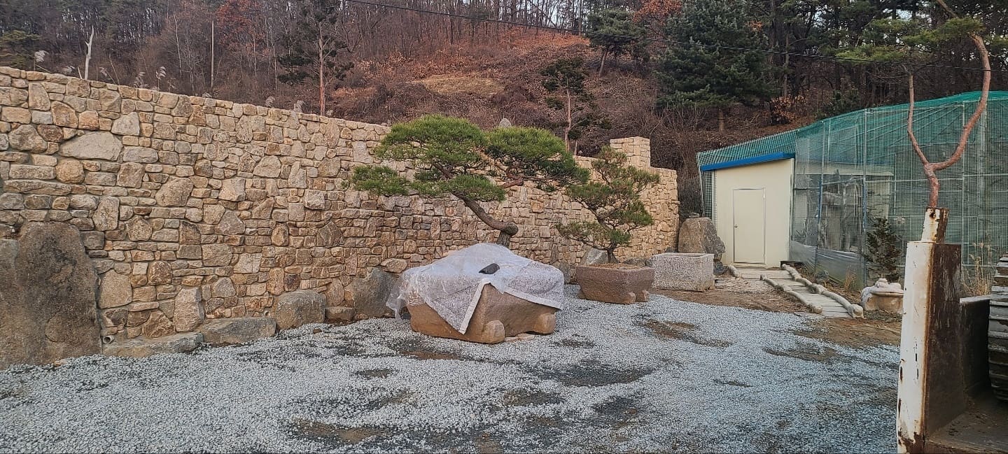 전원주택 자연석 담장과 소나무 식재 시공사례