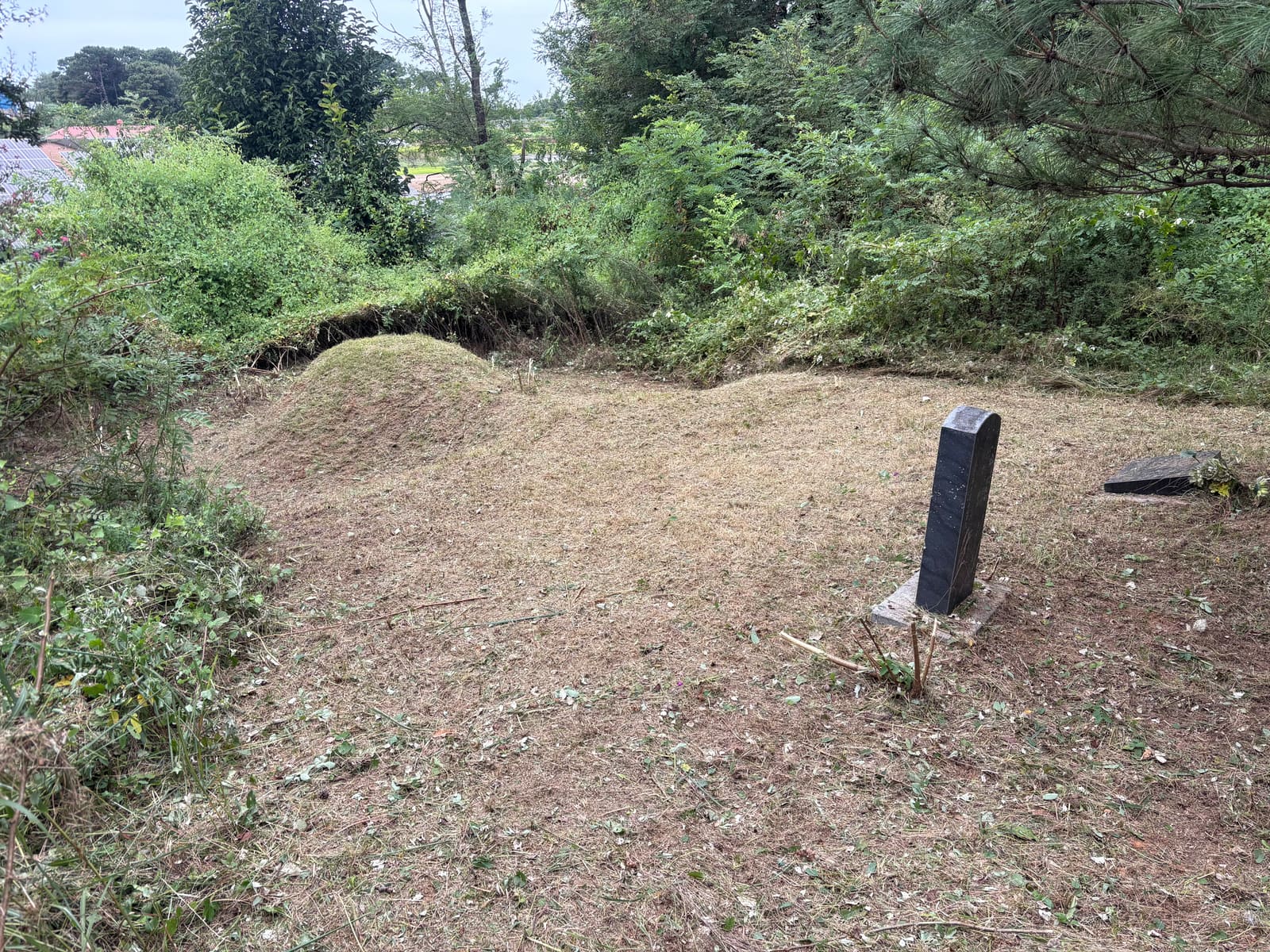 논산 벌초대행 싼곳, 벌초 작업 후 사진