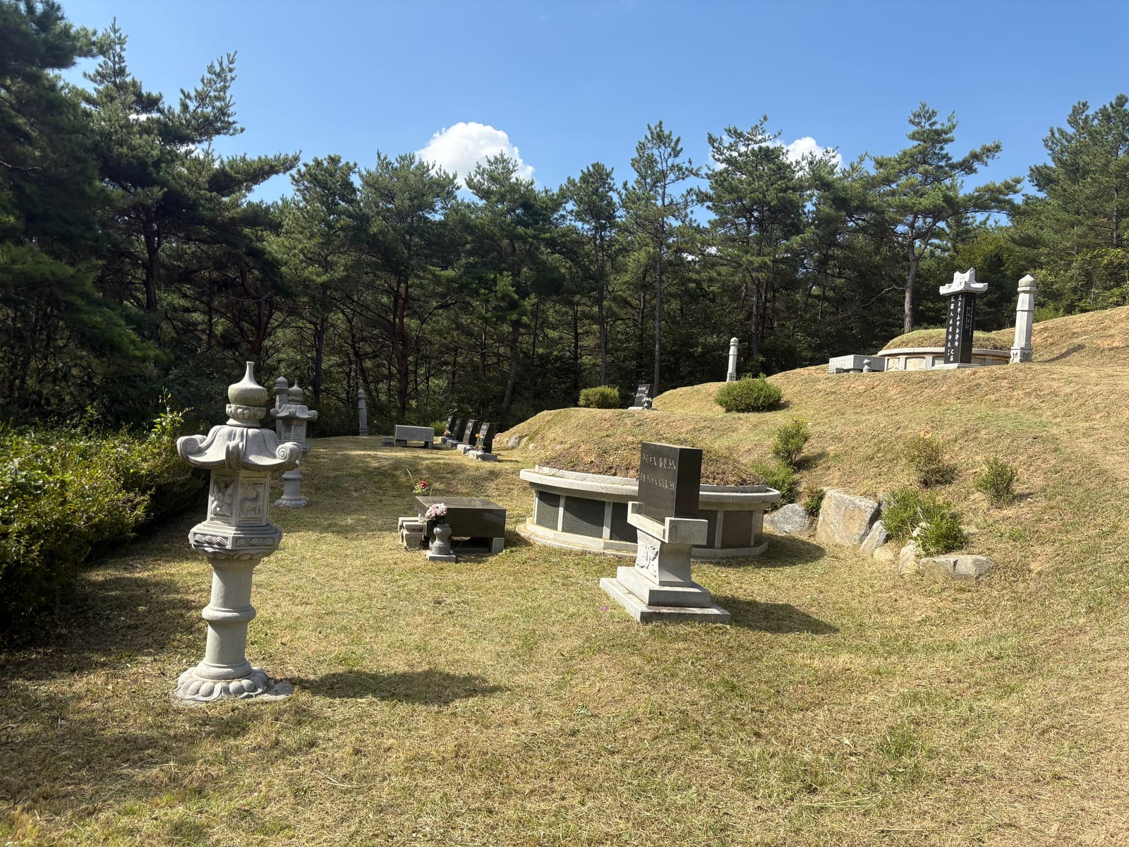 충남 예산 벌초 대행 후기, 선산 벌초 작업 후 사진